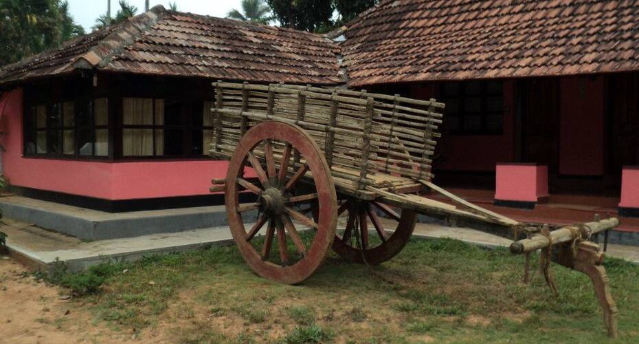Kudajadri Drizzle, Wayanad 5